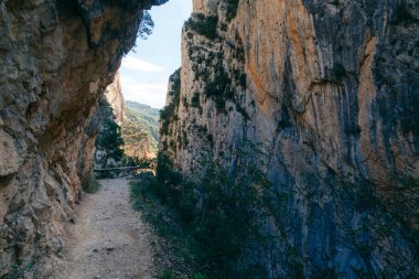İspanya 'daki Congost de Montrebei vadisinde yaz mevsimi. Yüksek kalite fotoğraf