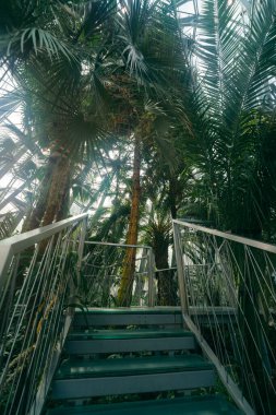 Park Oliwski, Polonya 'nın Gdansk kentindeki Tranquil vahasıdır. Tarihi bahçeleri, büyüleyici havuzları ve keyifli bir tatil için sakin yolları harmanlamaktadır. Yüksek kalite fotoğraf