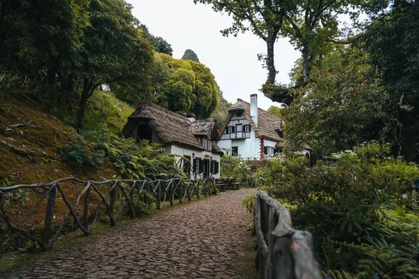 Queimadas Evi Madeira Büyüleyici Levada Yürüyüşleri Için Büyüleyici Bir Başlangıç — Stok fotoğraf