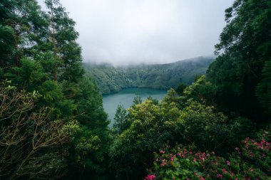 Miradouro do Cerrado das Freiras: Portekiz 'in Madeira şehrinde manzaranın nefes kesici manzaralarını sağlayan panoramik bir bakış açısı. Yüksek kalite fotoğraf