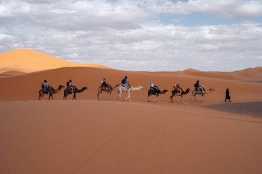 20.5.2023 Merzouga, Fas: Sahra Fas 'taki develer: Bu nazik yaratıkların üzerinde çöl yolculuklarını tecrübe edin, engin kum tepelerini keşfedin ve Sahra' nın büyüsünü kucaklayın. Yüksek kalite fotoğraf