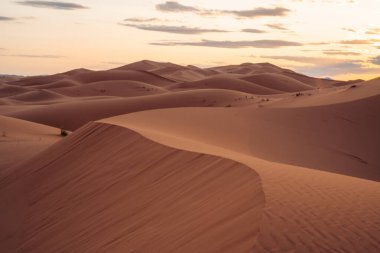 Sahra Fas: Görkemli çöl genişliği, altın kum tepeleri, büyüleyici manzaralar ve yıldızlı çöl gökyüzünün altında büyüleyici bir deneyim sunuyor. Yüksek kalite fotoğraf