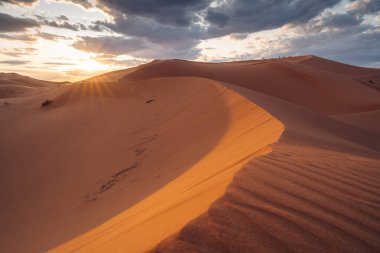 Sahra Fas: Görkemli çöl genişliği, altın kum tepeleri, büyüleyici manzaralar ve yıldızlı çöl gökyüzünün altında büyüleyici bir deneyim sunuyor. Yüksek kalite fotoğraf