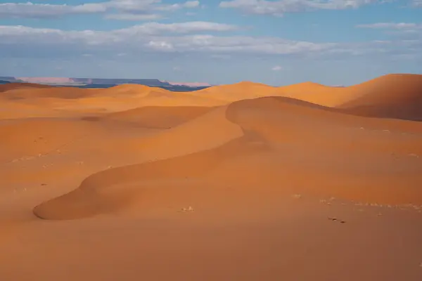 Saara Marrocos Majestosa Extensão Deserto Oferecendo Dunas Douradas Paisagens Cativantes — Fotografia de Stock