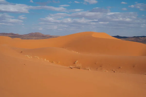 Sahara Maroc Majestueuse Étendue Désertique Offrant Des Dunes Dorées Des — Photo