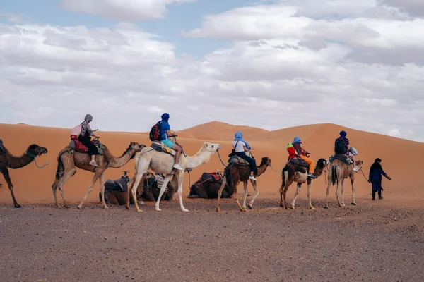 2023 Merzouga Maroc Chameaux Sahara Maroc Vivez Des Voyages Dans — Photo