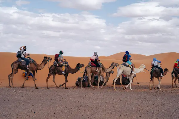 2023 Merzouga Maroc Chameaux Sahara Maroc Vivez Des Voyages Dans — Photo