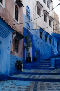 Şef, Fas: Mavi Şehir Rif Dağları 'na kurulmuş, büyüleyici mavi boyalı sokakları, dingin atmosferi ve kültürel cazibesiyle ünlü. Yüksek kalite fotoğraf