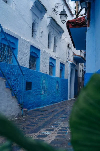 Chefchaouen Marokko Die Blaue Stadt Den Rif Bergen Berühmt Für — Stockfoto