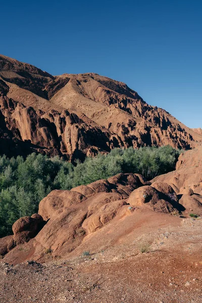 Gorges Dades Chef Œuvre Nature Maroc Superbe Canyon Avec Des — Photo