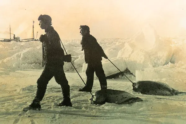 2023 Tromso Νορβηγία Πολικό Μουσείο Υψηλής Ποιότητας Φωτογραφία Εικόνα Αρχείου