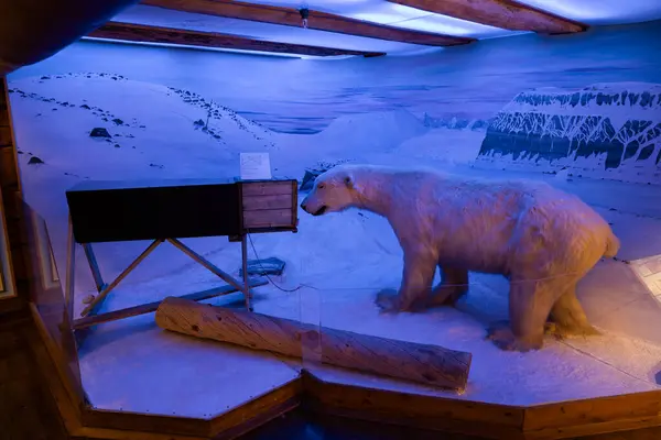 2023 Tromso Norge Polarmuseet Högkvalitativt Foto Royaltyfria Stockfoton