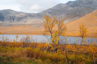 Tromso 'da sonbahar ve komşu ada Kvaloya' da. Yüksek kalite fotoğraf