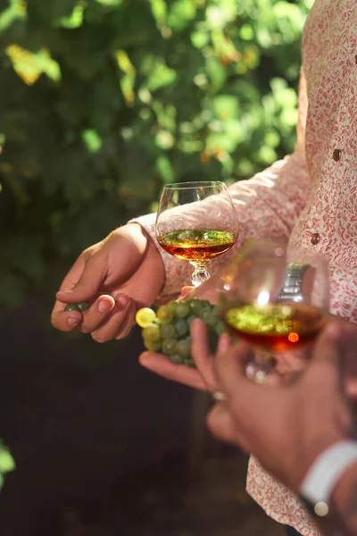 Cognac Glas Vor Der Kulisse Eines Weingartens Freien Die Hände — Stockfoto