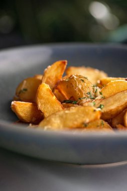 Kasede dereotlu patates tarlası. Sağlıklı diyet yemekleri. kopyalama alanı. Şili geleneksel yemekleri