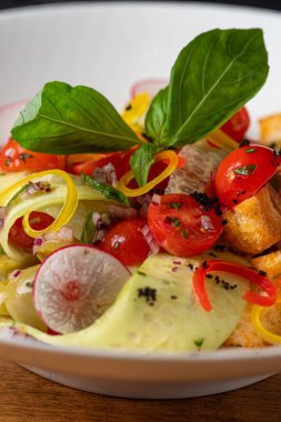 Bayat ekmekle panzanella yaz sebze salatası, renkli domatesler. Sağlıklı yiyecekler, yakın plan. Restoranda yemek servisi..