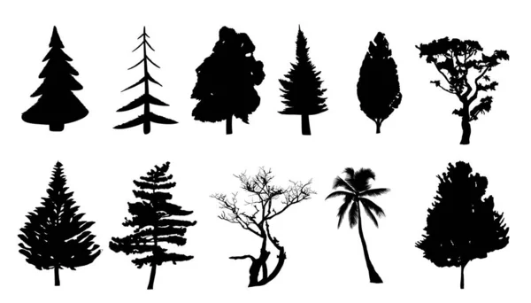 Zestaw Drzewek Sylwetki Sosny Leśne Parkowe Świerki Drzewa Iglaste Liściaste — Wektor stockowy