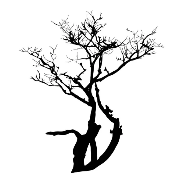 Ikona Sylwetki Drzewa Izolowana Białym Tle — Wektor stockowy