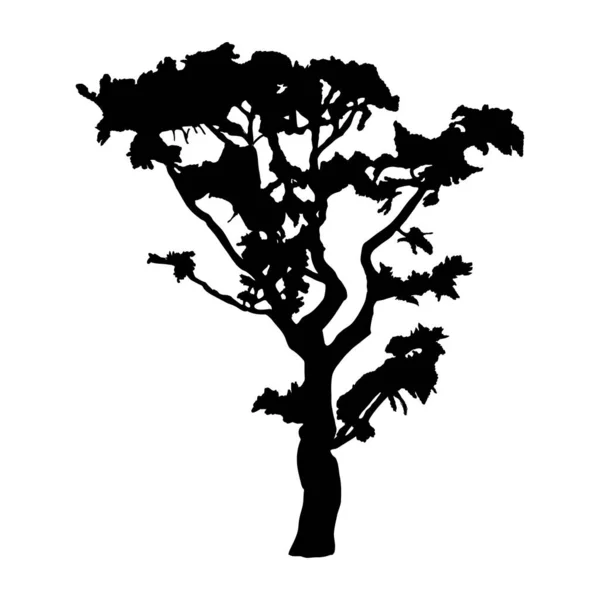 白色背景下孤立的树轮廓图标 — 图库矢量图片