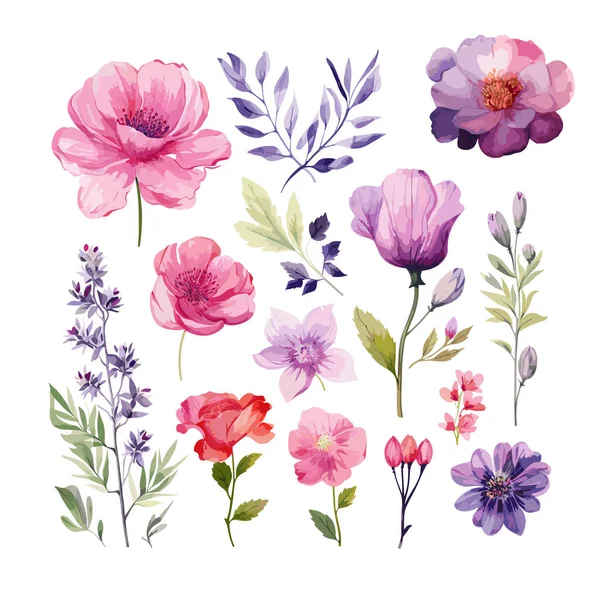 Conjunto Flores Acuarela Dibujado Mano Hierbas Flores Silvestres Especias Ramas — Vector de stock