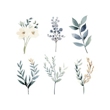 El yapımı suluboya çiçek seti. Bitkiler, kır çiçekleri ve baharatlar. Dallar, yapraklar, bitkiler, yabani bitkiler, çiçekler. Vektör Illustration EPS10
