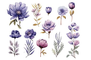 El yapımı suluboya çiçek seti. Bitkiler, kır çiçekleri ve baharatlar. Dallar, yapraklar, bitkiler, yabani bitkiler, çiçekler. Vektör Illustration EPS10