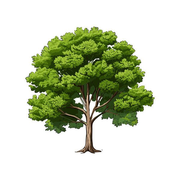 Cartoon realistic Tree Isolated on White Background. Cute green plant, forest. Can be used to illustrate any nature or healthy lifestyle topic.