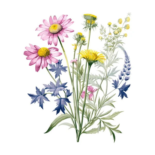 Handgezeichnetes Aquarell Blumenset Kräuter Wildblumen Und Gewürze Zweige Blätter Kräuter — Stockvektor