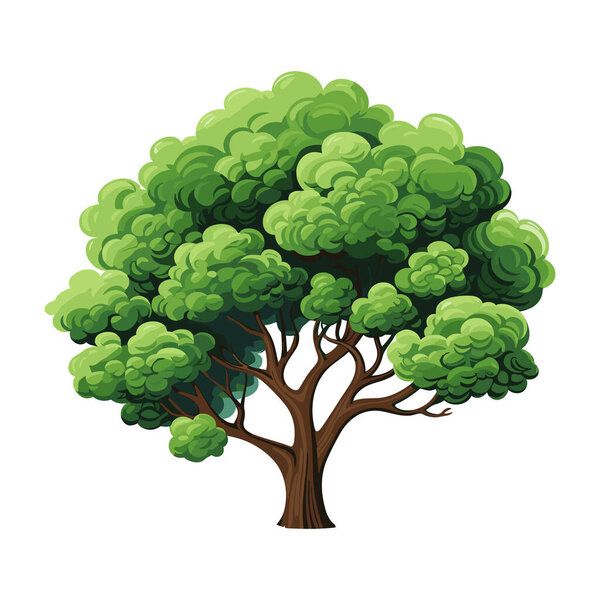 Cartoon realistic Tree Isolated on White Background. Cute green plant, forest. Can be used to illustrate any nature or healthy lifestyle topic.