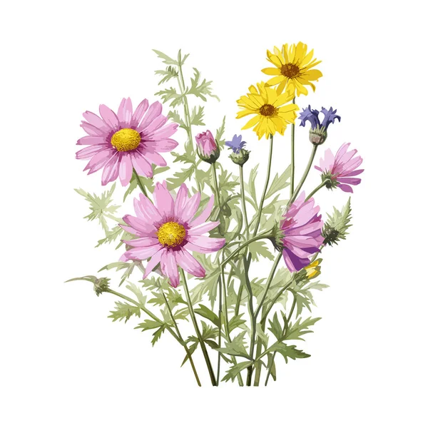 Conjunto Flores Aquarela Desenhado Mão Ervas Flores Silvestres Especiarias Ramos — Vetor de Stock