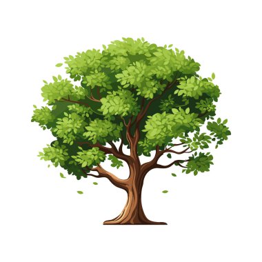 Beyaz Arkaplan 'da izole edilmiş çizgi film gerçekçi ağacı. Şirin yeşil bitki, orman. Herhangi bir doğa ya da sağlıklı yaşam tarzını göstermek için kullanılabilir..