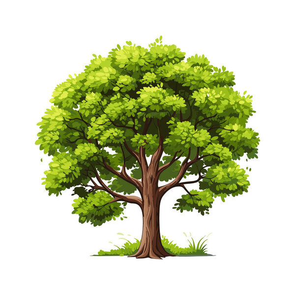 Cartoon Realistic Tree Isolated White Background Cute Green Plant Forest — Stock Vector