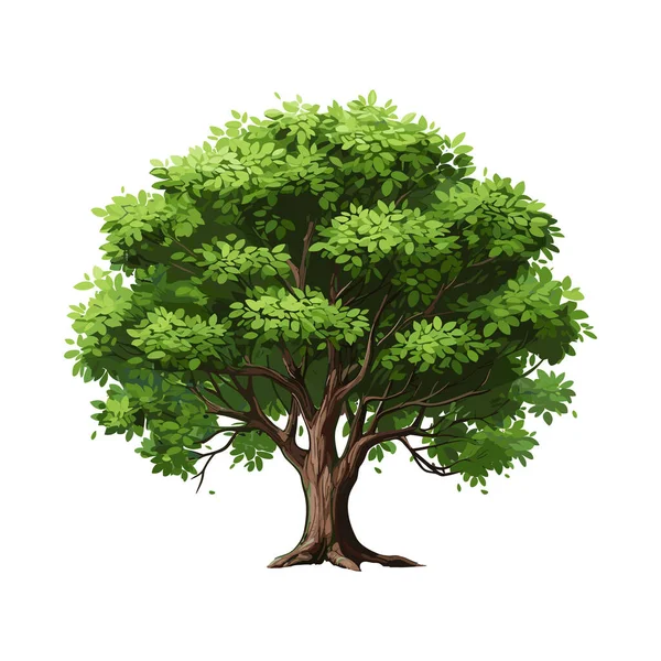 Γελοιογραφία Ρεαλιστικό Δέντρο Απομονώνονται Λευκό Φόντο Ωραίο Πράσινο Φυτό Δάσος — Διανυσματικό Αρχείο