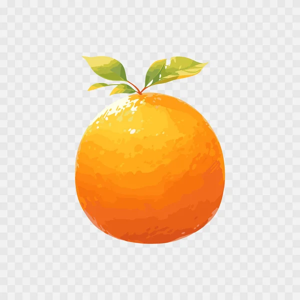 Vector Cartoon Detaillierte Frucht Orange Süße Früchte Vektorabbildung Eps10 — Stockvektor