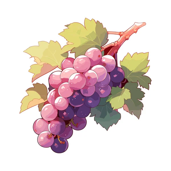 Vector Cartoon Gedetailleerde Fruit Druif Zoet Fruit Vectorillustratie Eps10 — Stockvector