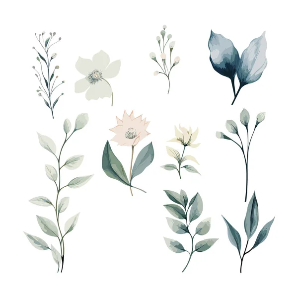 Ručně Kreslené Akvarel Květina Sada Byliny Divoké Květiny Koření Větve Royalty Free Stock Ilustrace
