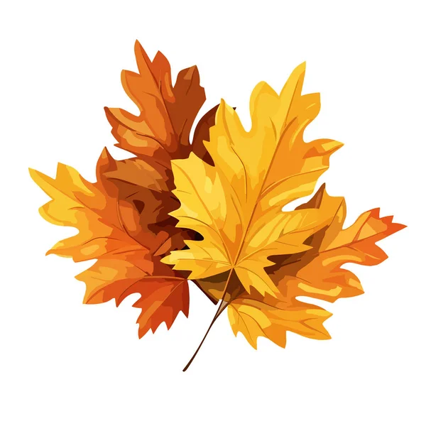Podzimní Listy Izolované Bílém Pozadí Javorový List Vektorová Ilustrace Eps10 — Stockový vektor