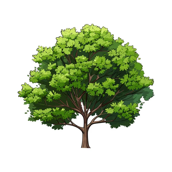 Kreslený Realistický Strom Izolovaný Bílém Pozadí Roztomilá Zelená Rostlina Les Stock Ilustrace