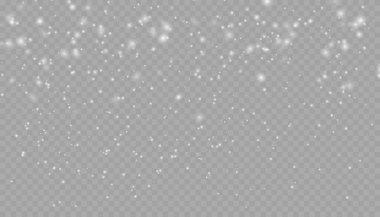 Kar taneleri ve bulutlarla yağan gerçekçi kar. Şiddetli kar yağışı, farklı şekil ve formlarda kar taneleri. Şeffaf arkaplanda pek çok beyaz soğuk pullu element.