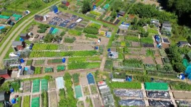 Pontypridd, Wales - July 2022: Flyover aerial view of community allotments in a village on the outskirts of Cardiff