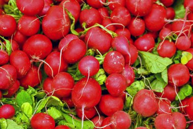 Bir market tezgahındaki bir tepsi taze turpu yakından izle. Kimse yok..