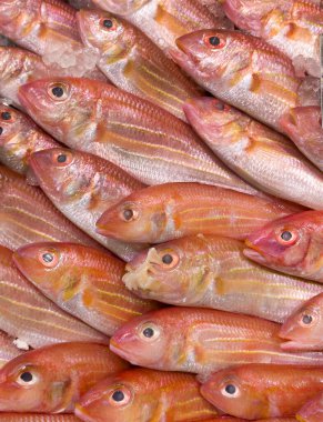 Balıkçı tezgahında sergilenen taze iplik balığı. Kimse yok.. 