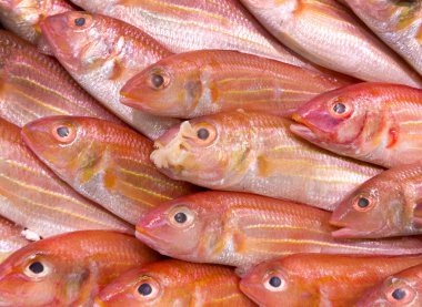 Balıkçı tezgahında sergilenen taze iplik balığı. Kimse yok..