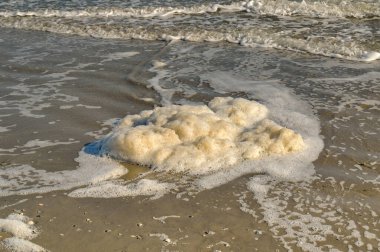 Sea foam or spume washing up on a beach. No people. 