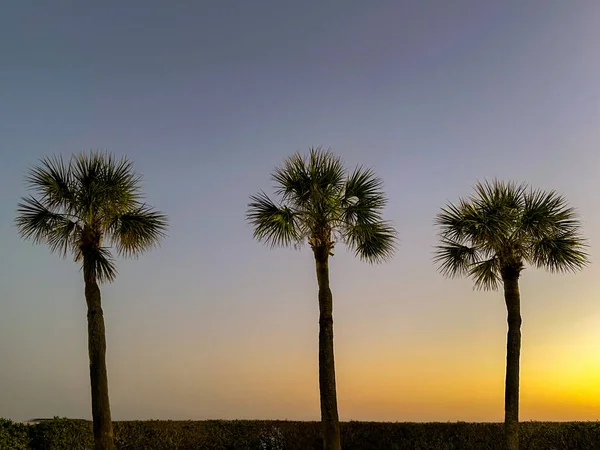 Tropikal Bir Tatil Köyünün Deniz Kenarında Palmiye Ağaçlarının Silueti — Stok fotoğraf