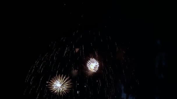 Exposição Colorida Fogos Artifício Contra Céu Noturno Preto Não Pessoas — Vídeo de Stock