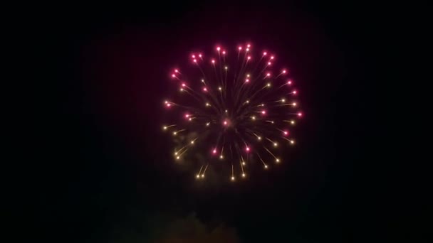 Colorato Spettacolo Fuochi Artificio Contro Cielo Notturno Nero Nessuna Gente — Video Stock