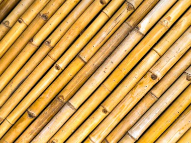 Bambu kamışlarının yan yana görüntüsünü kapat. Arkaplan.