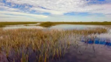 Everglades, Florida, ABD 4 Aralık 2023: Everglades Ulusal Parkı 'nın bataklık sularını hızla geçen manzara manzarası