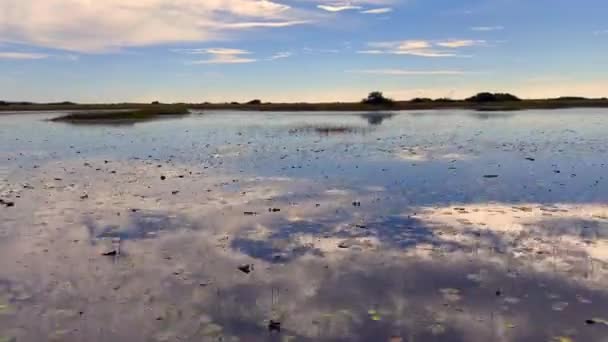 Everglades Florida Usa December 2023 Scenic Landscape View Speed Swamp — Stock Video